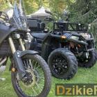zdjęcie nr 105