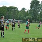 zdjęcie nr 48