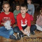zdjęcie nr 73