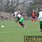 zdjęcie nr 46