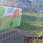 Fotka nr 2 z 11