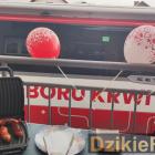 zdjęcie nr 14