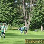 zdjęcie nr 146