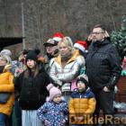 zdjęcie nr 179