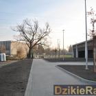 zdjęcie nr 42
