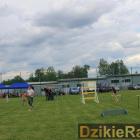 zdjęcie nr 146