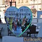 zdjęcie nr 16