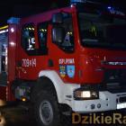 zdjęcie nr 12