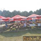 zdjęcie nr 149