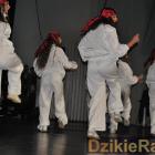 zdjęcie nr 216