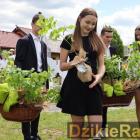 zdjęcie nr 24