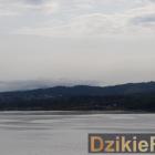 zdjęcie nr 10