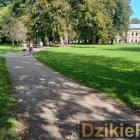 zdjęcie nr 75