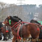 zdjęcie nr 46