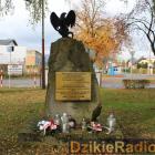 zdjęcie nr 16