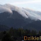 zdjęcie nr 3