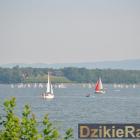 zdjęcie nr 201