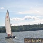 zdjęcie nr 219