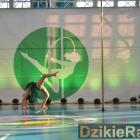 zdjęcie nr 47