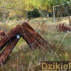 Fot: DzikieRadio®