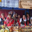 zdjęcie nr 50