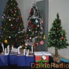 zdjęcie nr 119