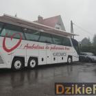 zdjęcie nr 19