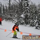 zdjęcie nr 12