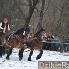 zdjęcie nr 66