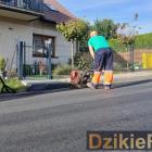 zdjęcie nr 13