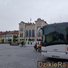 zdjęcie nr 15