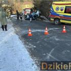 Fotka nr 2 z 3