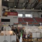zdjęcie nr 72
