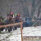 zdjęcie nr 78