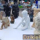 zdjęcie nr 37