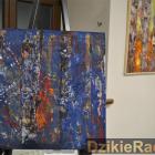 zdjęcie nr 73