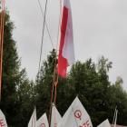 zdjęcie nr 7