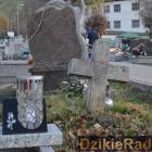 zdjęcie nr 37