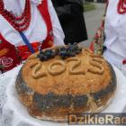 zdjęcie nr 