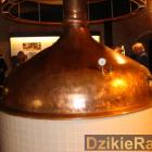 zdjęcie nr 20