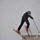 zdjęcie nr 37