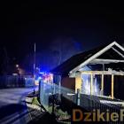 zdjęcie nr 8