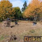 Fot: DzikieRadio®