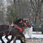 zdjęcie nr 103