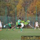 zdjęcie nr 81