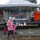 zdjęcie nr 33