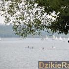 zdjęcie nr 200