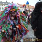 zdjęcie nr 176