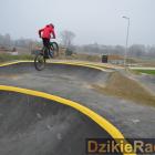 zdjęcie nr 14