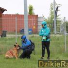 zdjęcie nr 26